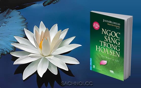 Sach-Noi-Ngoc-Sang-Trong-Hoa-Sen-Nguyen-Phong-audio-book-sachnoi.cc-5