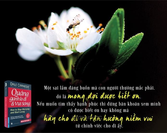 Sach-Noi-Quang-Ganh-Lo-Di-Vui-Ma-Song-Dale-Carnegie-audio-book-sachnoi.cc-2