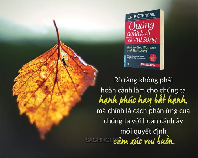 Sach-Noi-Quang-Ganh-Lo-Di-Vui-Ma-Song-Dale-Carnegie-audio-book-sachnoi.cc-4
