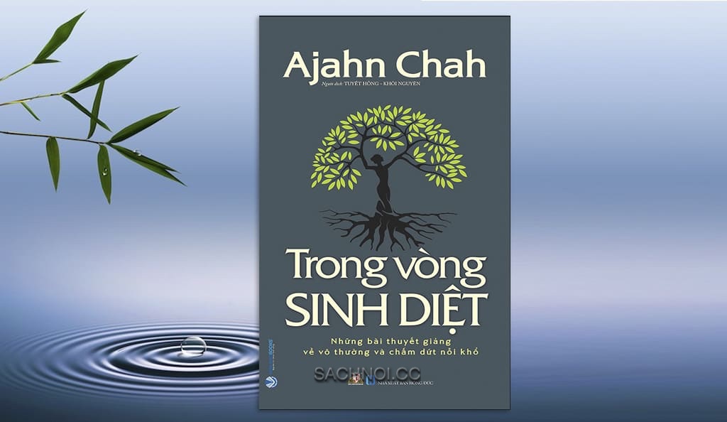Sach-Noi-Trong-Vong-Sinh-Diet-Achaan-Chah-audio-book-sachnoi.cc-02