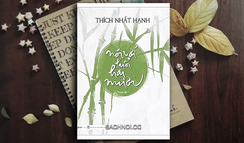Sach-Noi-Noi-Voi-Tuoi-Hai-Muoi-Thich-Nhat-Hanh-sachnoi.cc-04